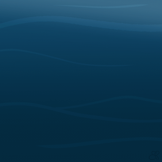 DrowsySeal (Twitter)